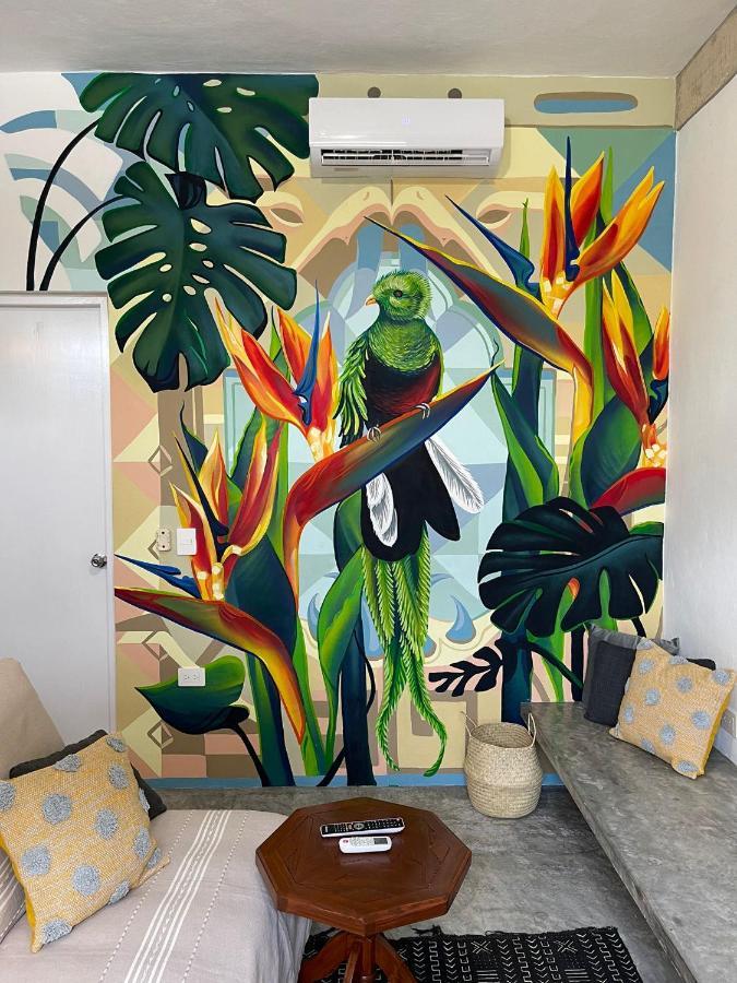 Katalox Jungle Lofts By Simply Comfort Tulum Centre Rooftop Patio & Pool Apartment Exterior photo